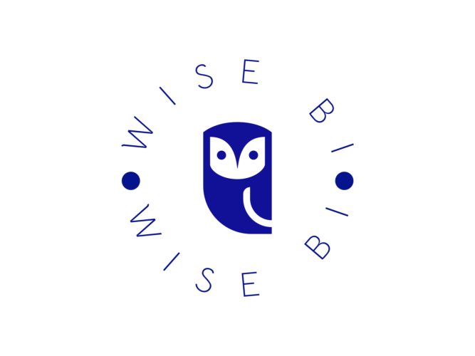 wise-bi-logo